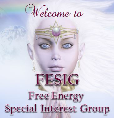 FESIG Welcomes You